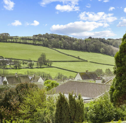 Property image for Green Park, Chillington