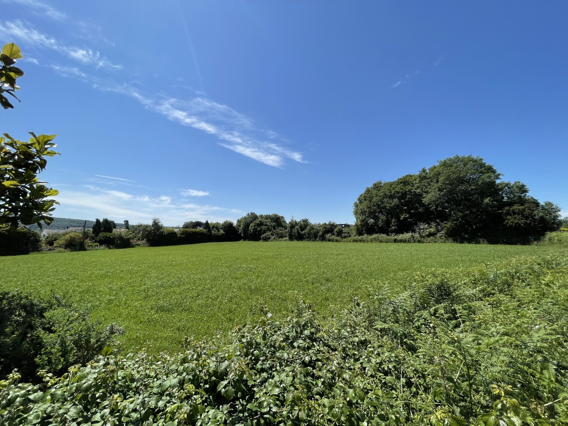 Bucklands Place, Nailsea Acorn Property Group