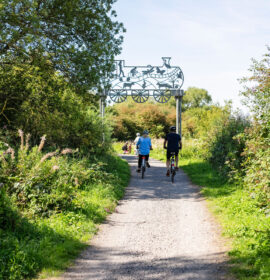 Blog article image for What’s On this Summer in Nailsea