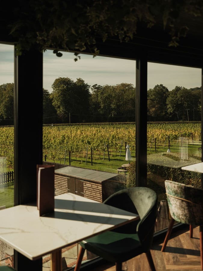 Llanerch Vineyard, The Vale of Glamorgan