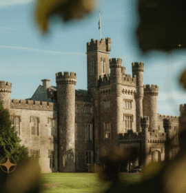 Blog article image for Festive Fun in The Vale of Glamorgan