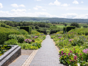 Stunning walks and nature spots around Nailsea