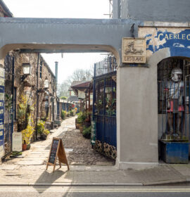 Blog article image for Reasons to fall in love with Caerleon